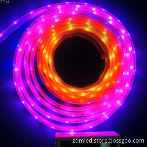 Waterproof SMD 5050 RGB flexible smd led strip